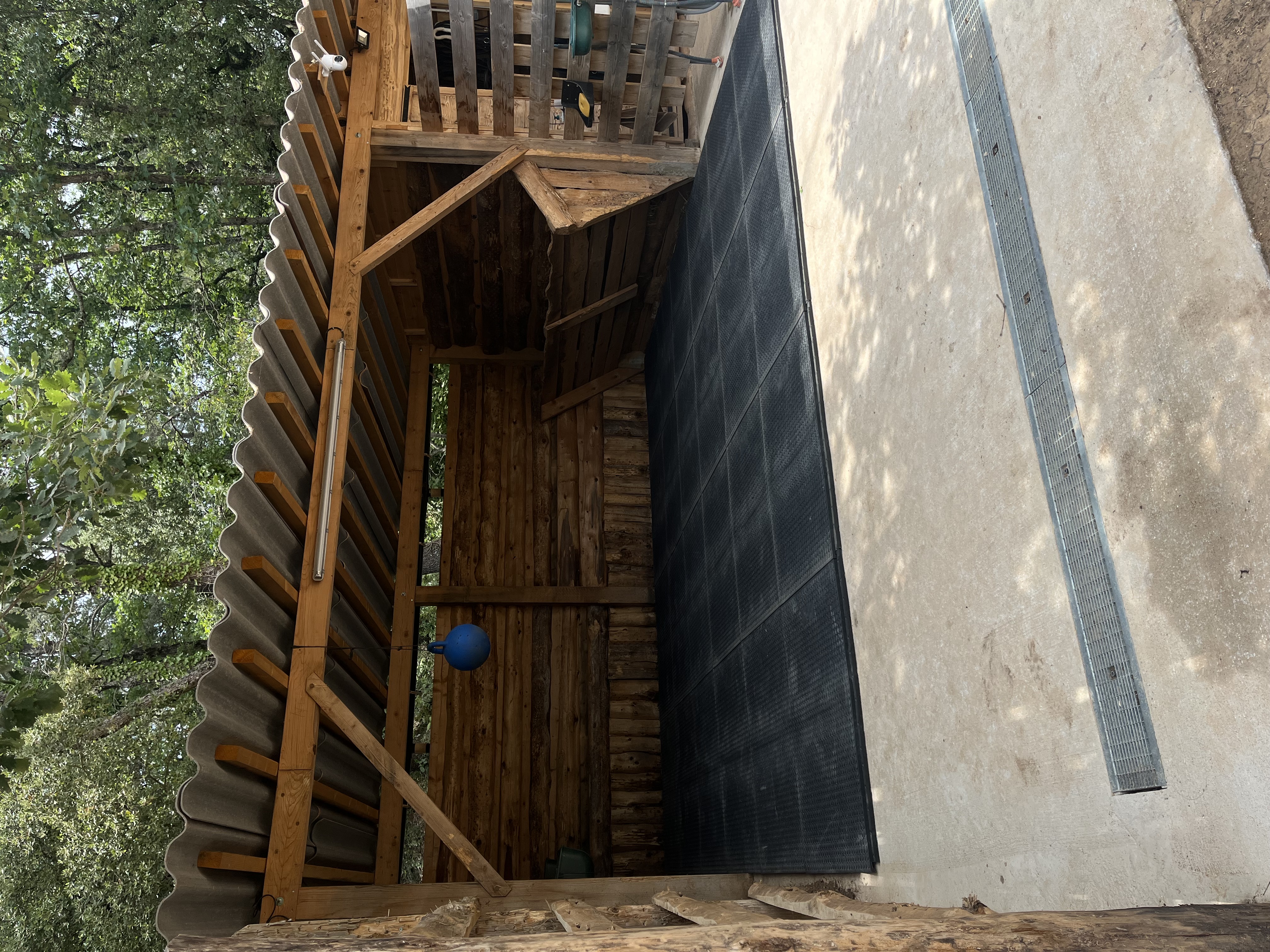 Installations confortables et abris pour chevaux du Cadre Escoundu dans le Var