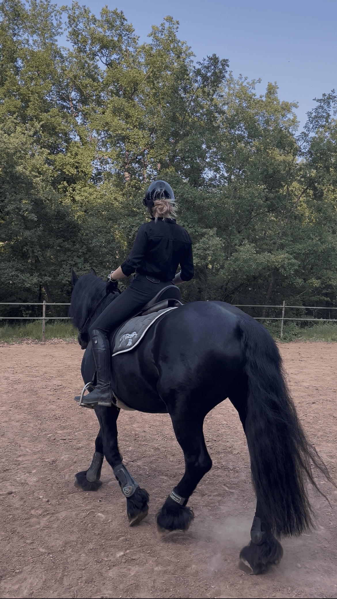 Cours d'équitation et de dressage personnalisé à domicile en PACA